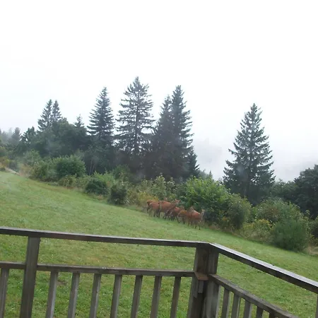 Les Angeliques Apartment Gerardmer