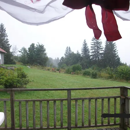 Appartement Les Angeliques Gérardmer