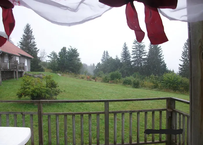 Lejlighed Les Angeliques Gérardmer