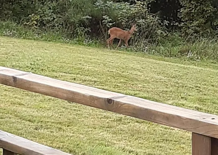 Les Angeliques Lejlighed